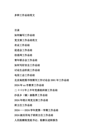 多种工作总结范文1