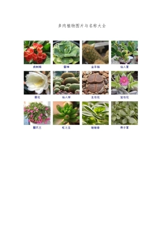 多肉植物图片与名称大全