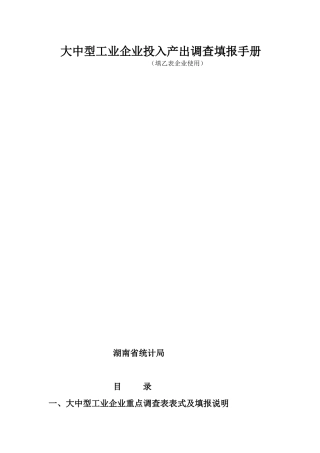 大中型工业企业投入产出调查填报手册（填乙表企业使用
