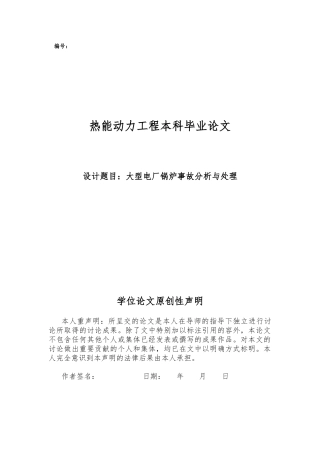 大型电厂锅炉事故分析与处理毕业论文