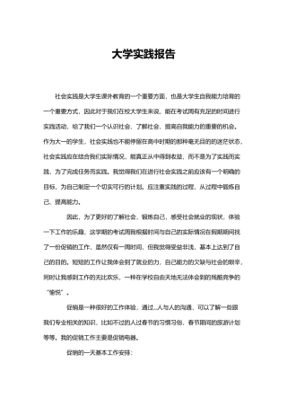 大学实践报告5000字