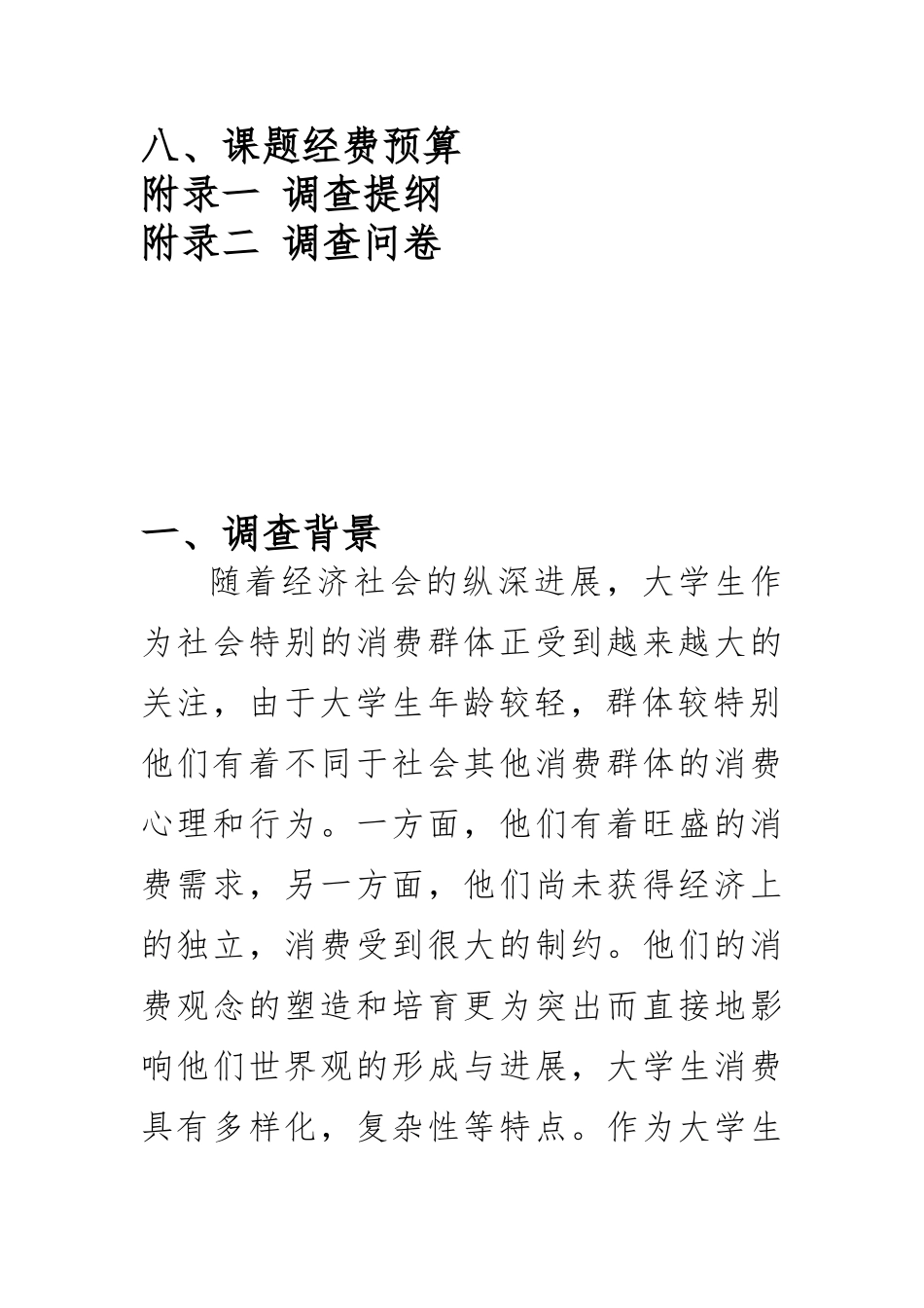 大学生服装市场调查实施计划书模板_第2页