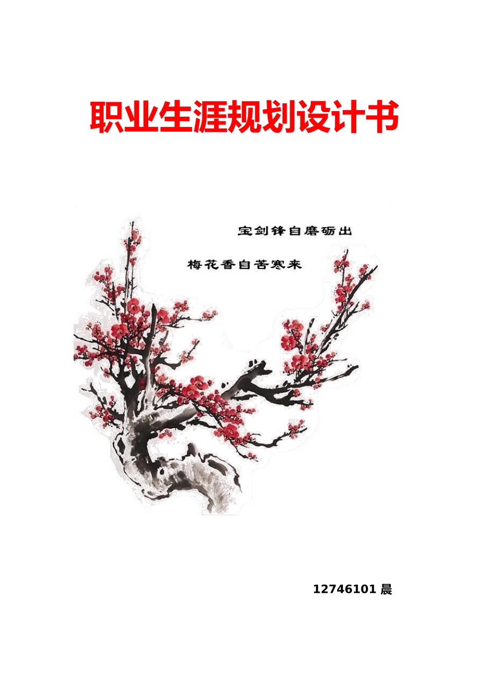 大学生职业生涯规划书视觉传达专业_第1页