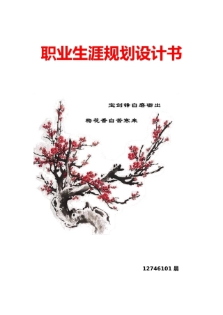 大学生职业生涯规划书视觉传达专业