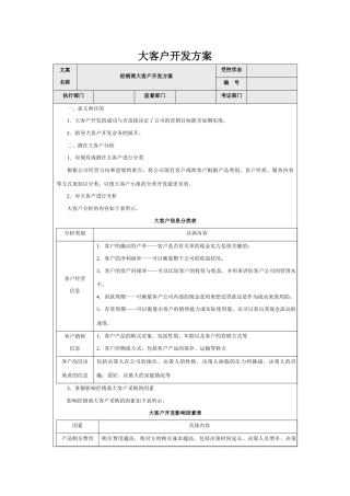 大客户开发方案