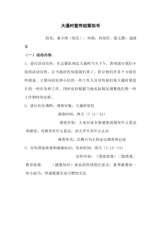 大通村宣传组策划