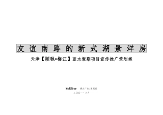 天津顺驰梅江蓝水假期项目宣传推广策划案