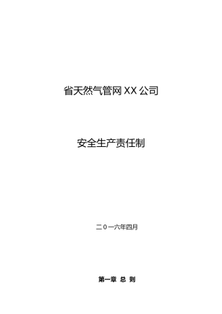 天然气管网有限责任公司安全生产责任制汇编
