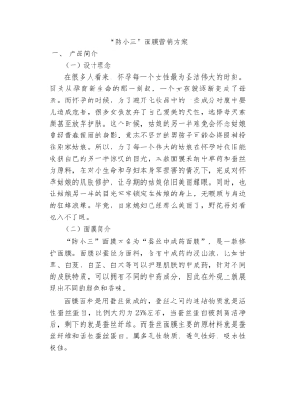 天然面膜营销方案设计说明