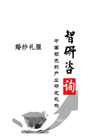 婚纱礼服市场调查与投资潜力研究报告