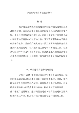 宁波市电子商务发展计划书