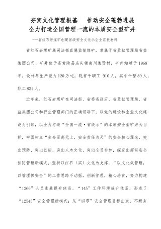 安全文化示范企业汇报材料文书
