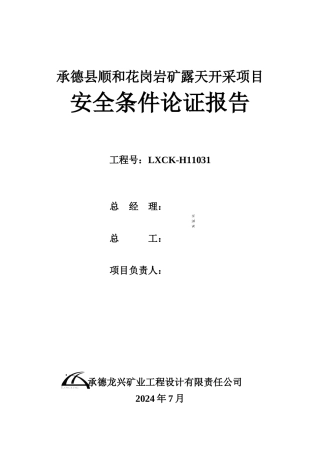 安全条件论证报告