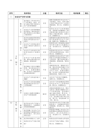 安全标准化自评记录表