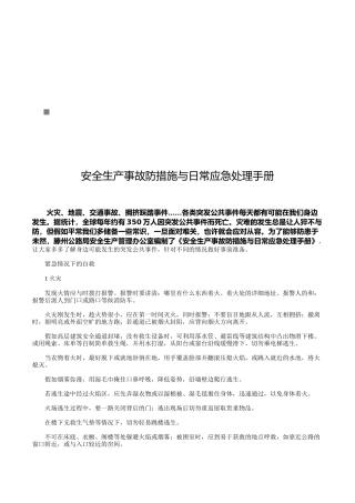 安全生产事故防范措施与日常应急处理手册范本