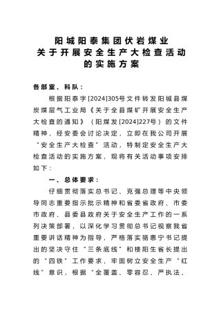 安全生产大检查活动方案