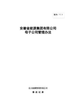 安徽某母子公司管理制度