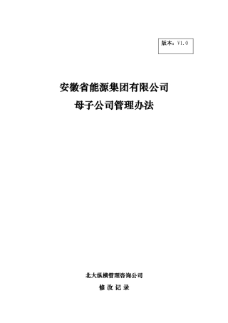 安徽某母子公司管理制度