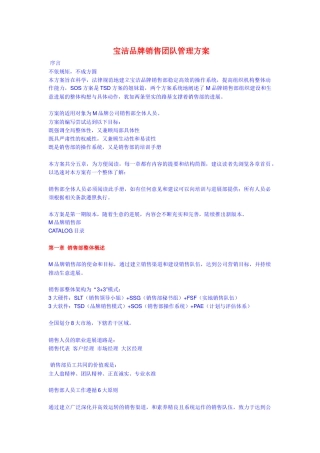 宝洁品牌销售团队管理方案