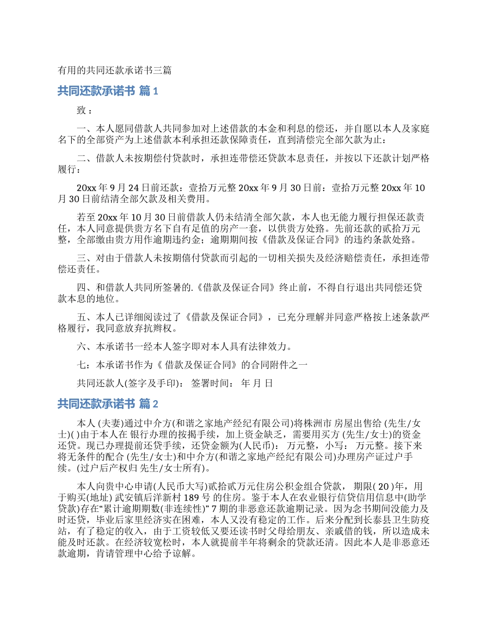 实用的共同还款承诺书三篇_第1页