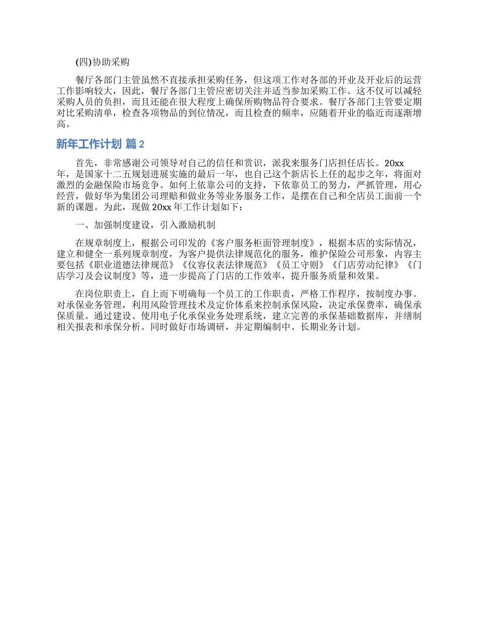 实用的新年工作计划模板7篇_第2页