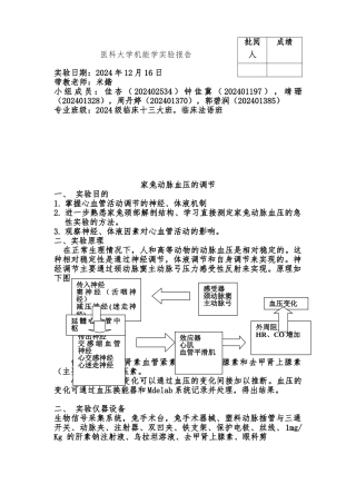 家兔动脉血压的调节