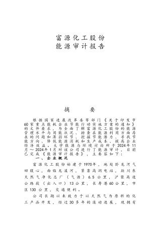 富源化工公司能源审计报告