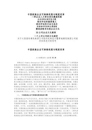 对中国企业的多方位分析报告