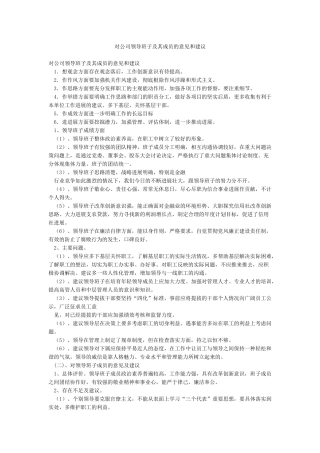 对公司领导班子及其成员的意见和建议