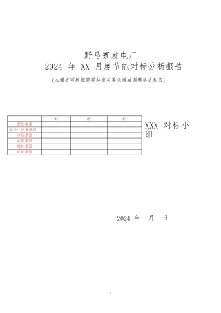 对标分析报告模板