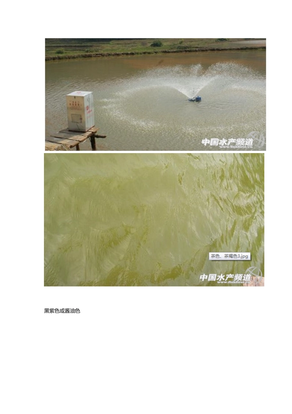 对虾养殖水质处理综合版_第3页
