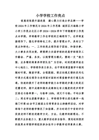 小学学校工作亮点