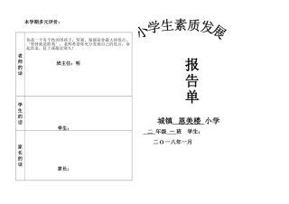 小学学生综合素质评价综合版