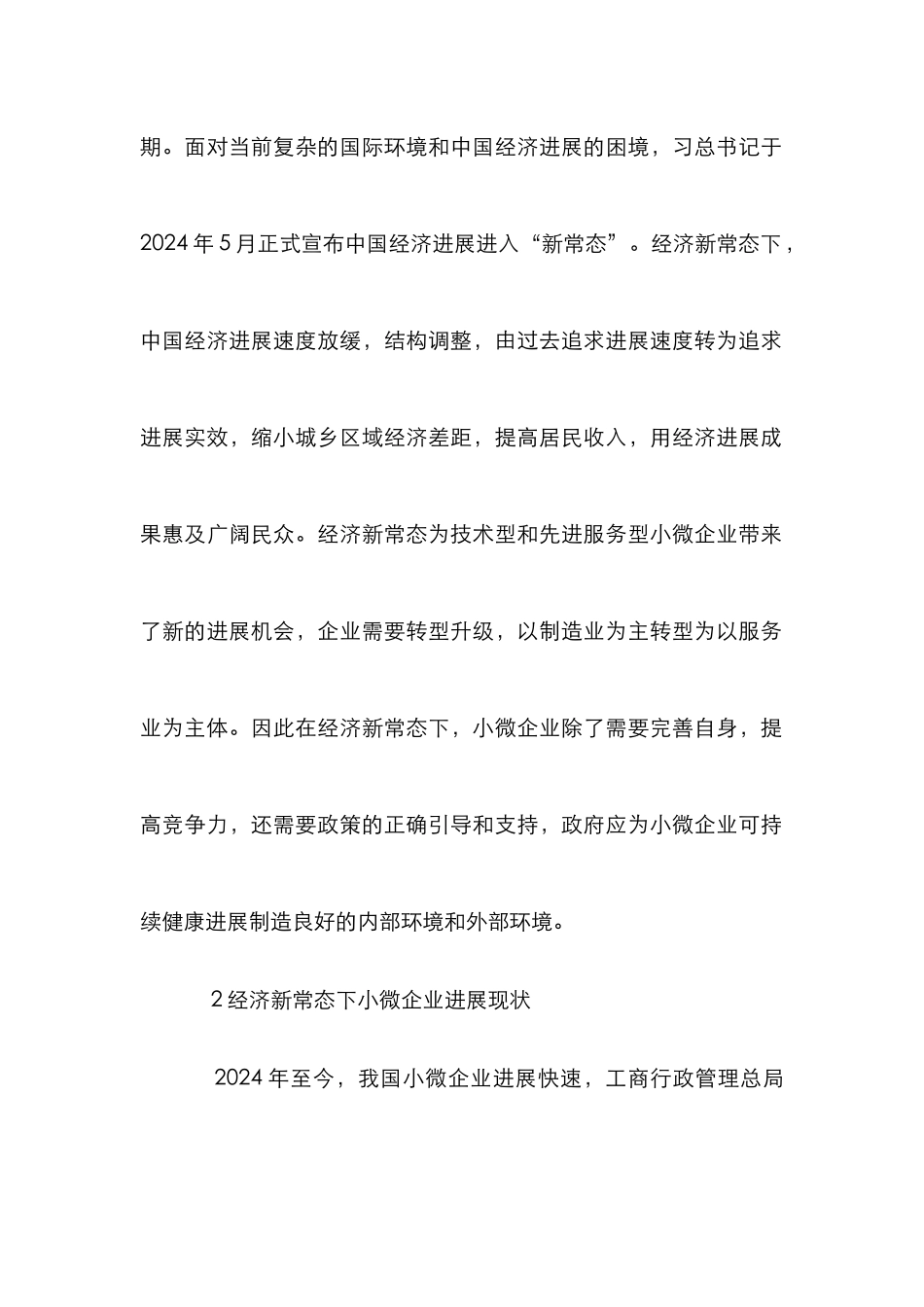 小微企业可持续发展路径研究_第2页