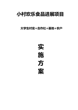 小村快乐食品发展项目方案