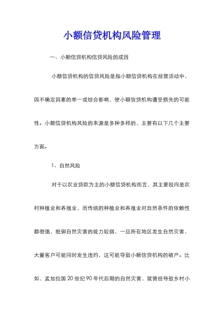 小额信贷机构风险管理