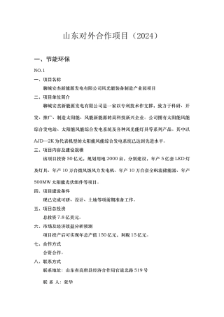 山东对外合作项目研究报告