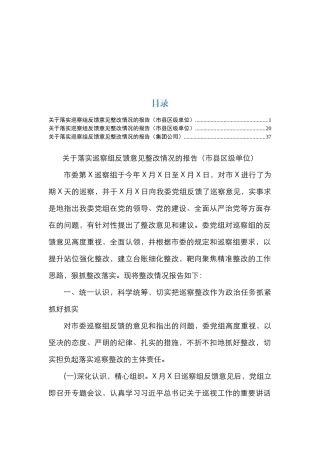 巡察整改情况报告3篇
