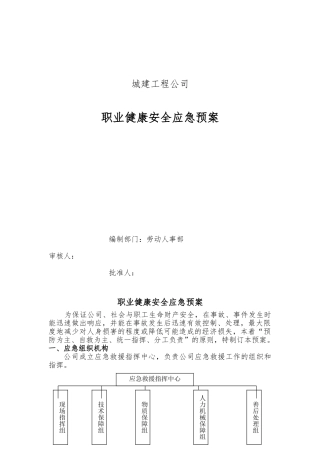 工程公司健康安全应急处置预案