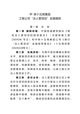 工程公司法人管项目实施细则