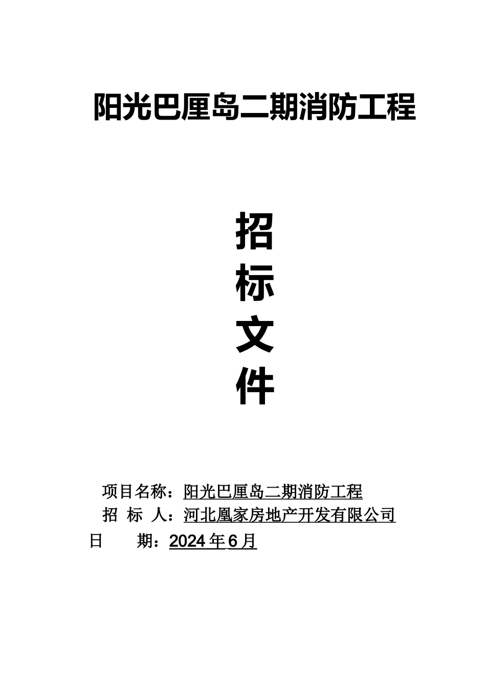 巴厘岛二期消防工程招标文件XXXX65_第1页