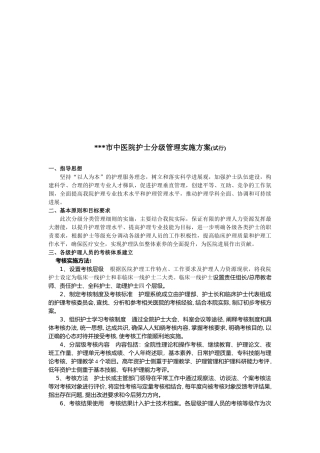 市中医院护士分级管理细则