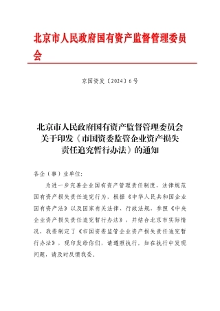 市国资委资产损失责任追究办法