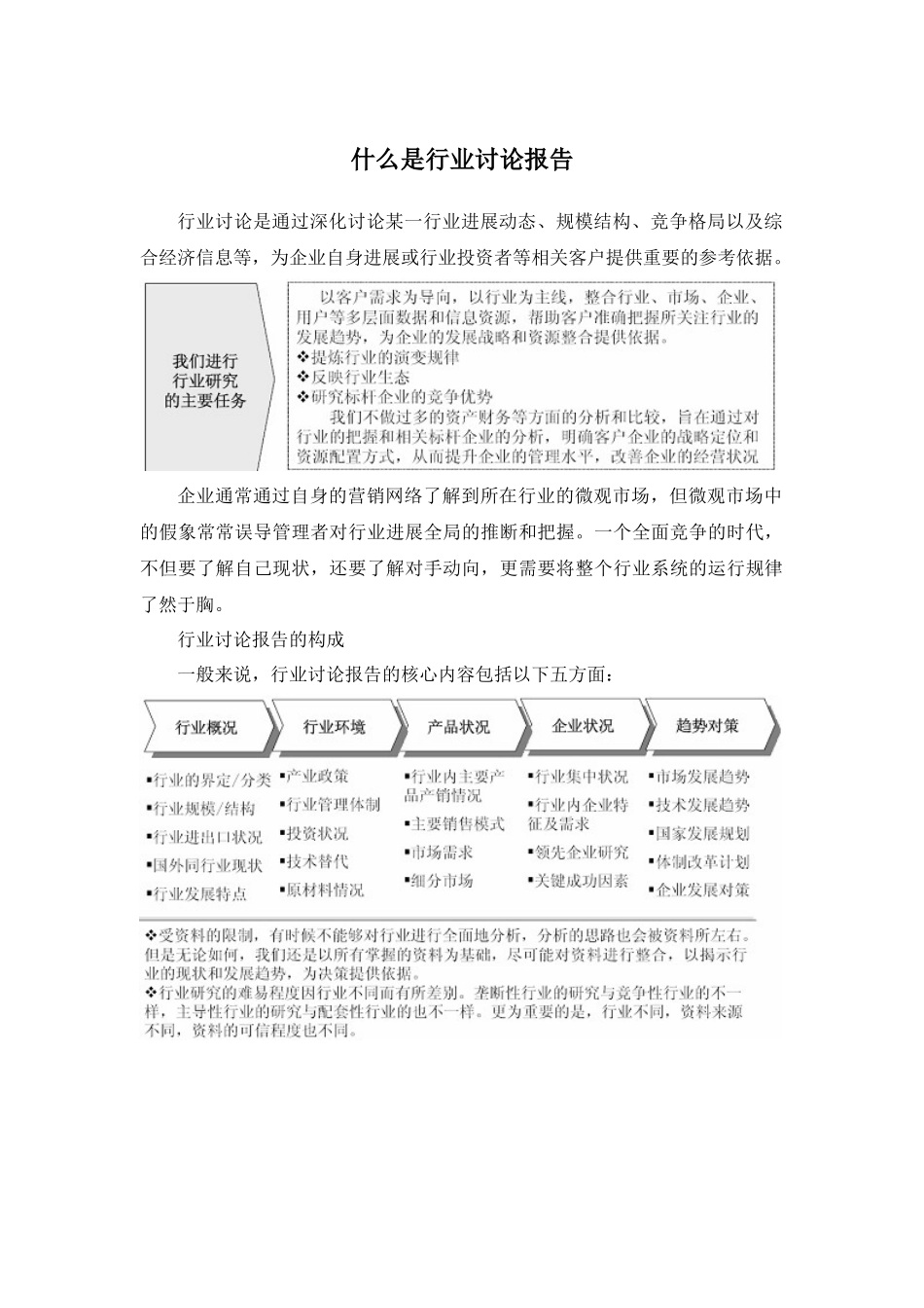 市场监测及投资战略咨询报告_第2页