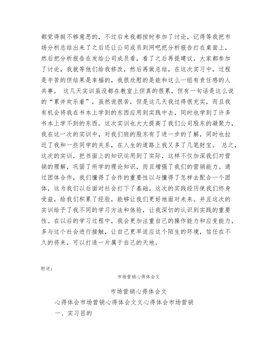 市场营销心得体会_第3页