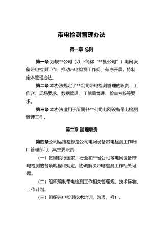 带电检测管理办法