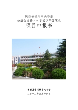 常小乡村学校少年宫项目申报书范本