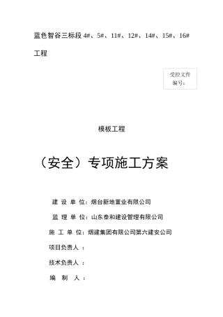 常用模板专项施工方案0407