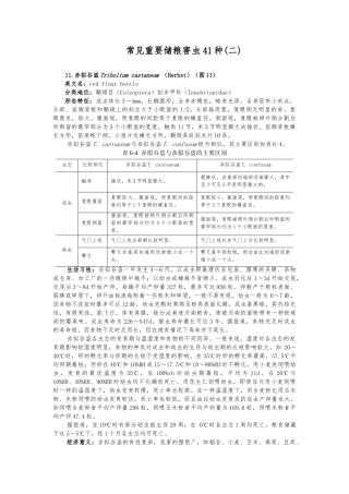 常见重要储粮害虫41种二资料全