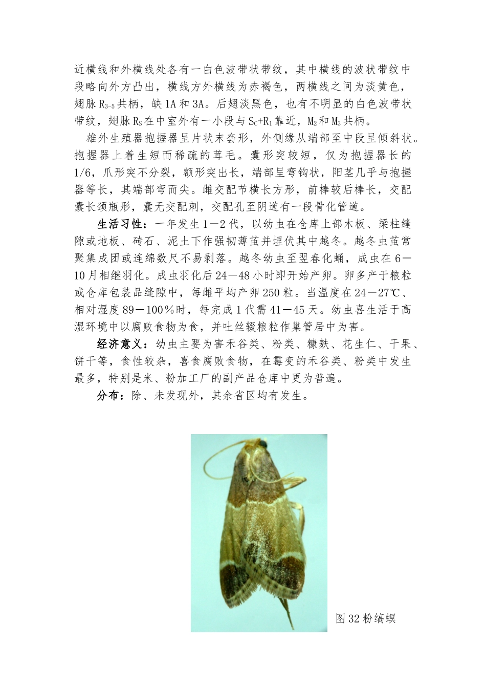常见重要储粮害虫41种四资料全_第2页